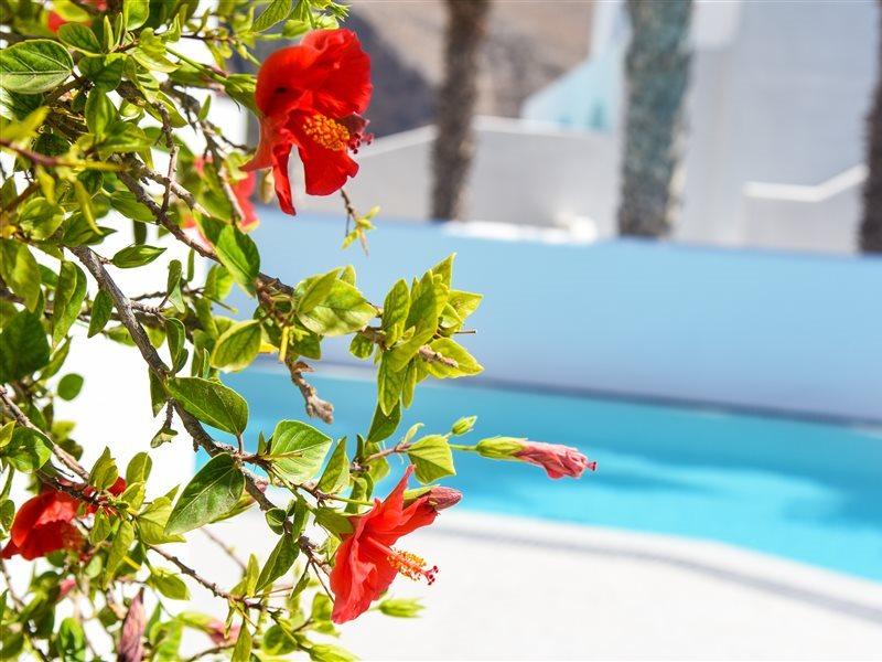 Kouros Village Hotel - Adults Only Perissa (Santorini) Exterior foto